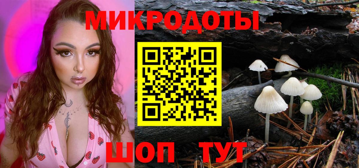 Галлюциногенные грибы мицелий Полысаево