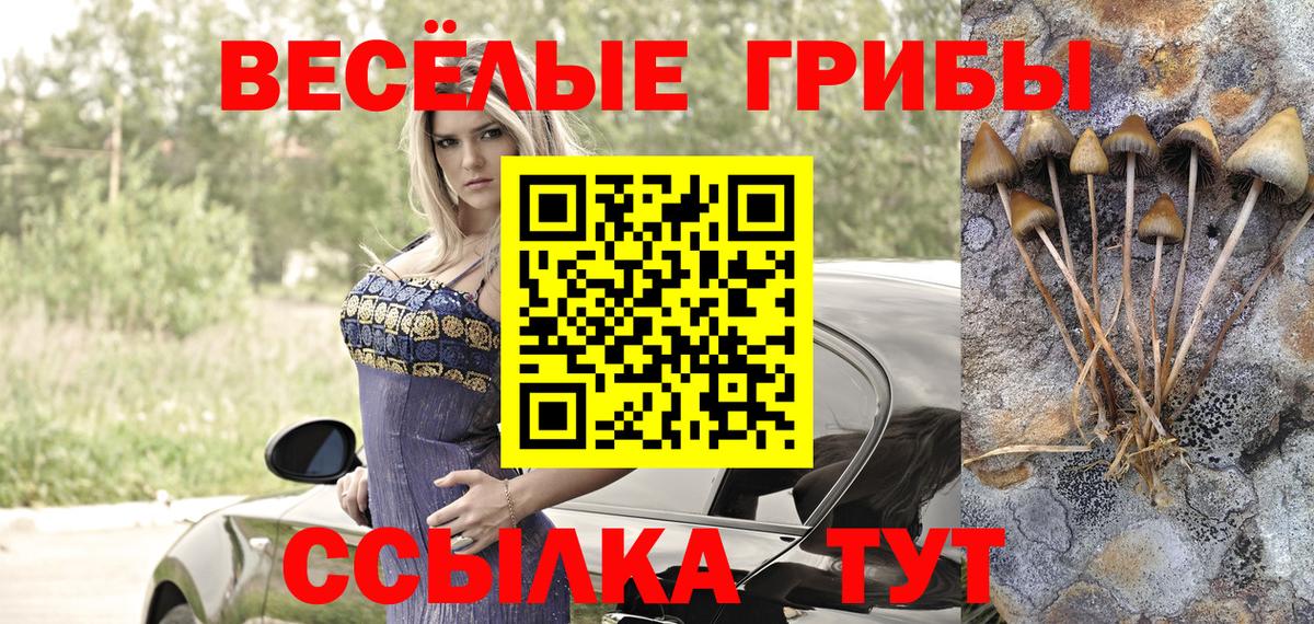 Псилоцибиновые грибы MAGIC MUSHROOMS  Вход с VPN  Полысаево 